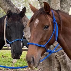 Meet your Posher, Margo